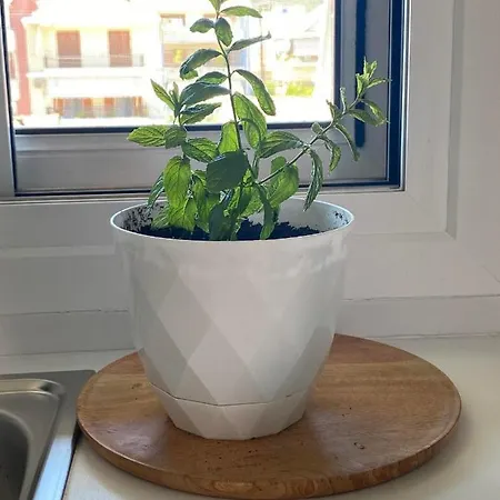 Apartmán Menta House Lefkáda Exteriér fotografie